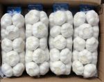 Fresh-white-garlic