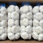 Fresh-white-garlic