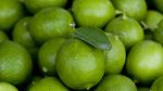 Limes