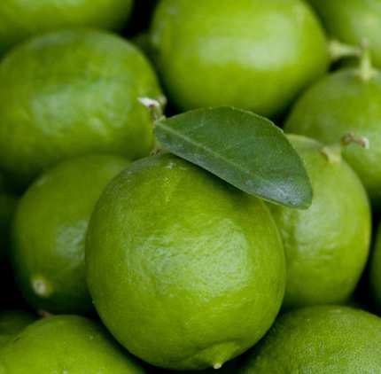 Limes