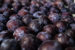 Plums