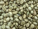 Robusta-Green-Coffee