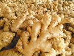 VIETNAM-FRESH-GINGER