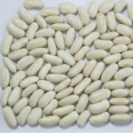 White-Kidney-Beans-Long-shape