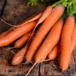 Fresh Carrots