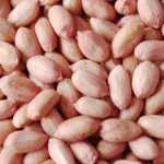 peanut-kernel