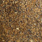 rapeseed_meal